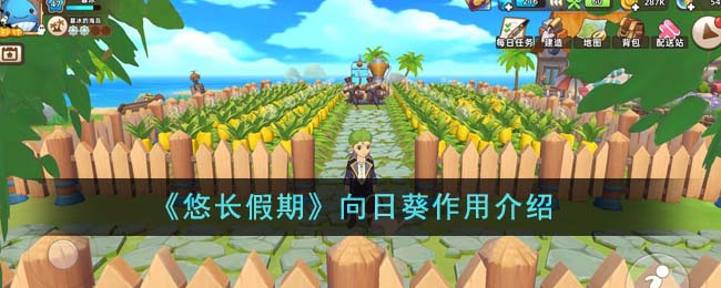 《悠长假期》向日葵作用介绍